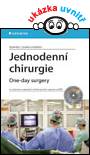 Jednodenní chirurgie - One-day surgery